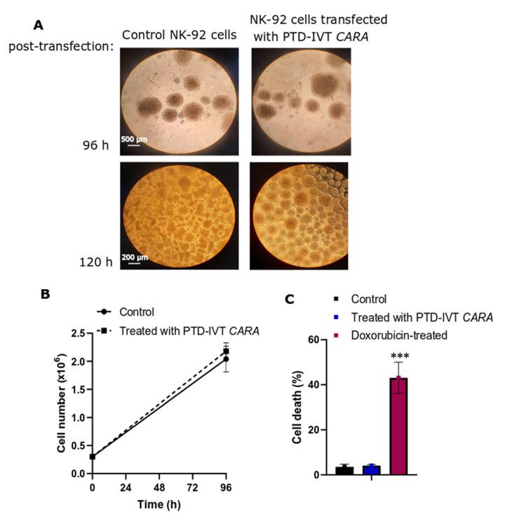 https://cdn.ncbi.nlm.nih.gov/pmc/blobs/3c77/9687928/fb0e4d21832d/biomedicines-10-02885-g006.jpg