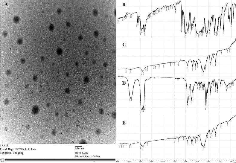 https://cdn.ncbi.nlm.nih.gov/pmc/blobs/3c7b/12023791/543831737592/gr3.jpg