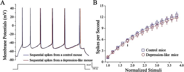 https://cdn.ncbi.nlm.nih.gov/pmc/blobs/3c7c/4886664/3e65e74b1785/ijnppy_pyv122_f0008.jpg