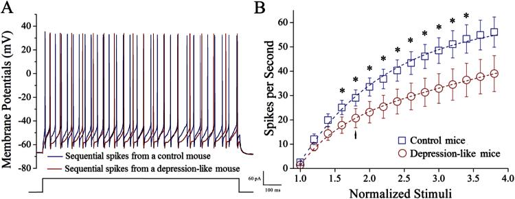 https://cdn.ncbi.nlm.nih.gov/pmc/blobs/3c7c/4886664/aa4ffa0ddc05/ijnppy_pyv122_f0004.jpg