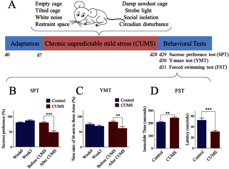 https://cdn.ncbi.nlm.nih.gov/pmc/blobs/3c7c/4886664/b38aa08973f2/ijnppy_pyv122_f0001.jpg