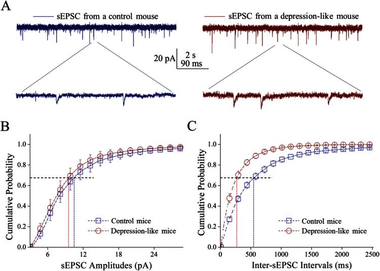 https://cdn.ncbi.nlm.nih.gov/pmc/blobs/3c7c/4886664/ced0bcce4674/ijnppy_pyv122_f0005.jpg