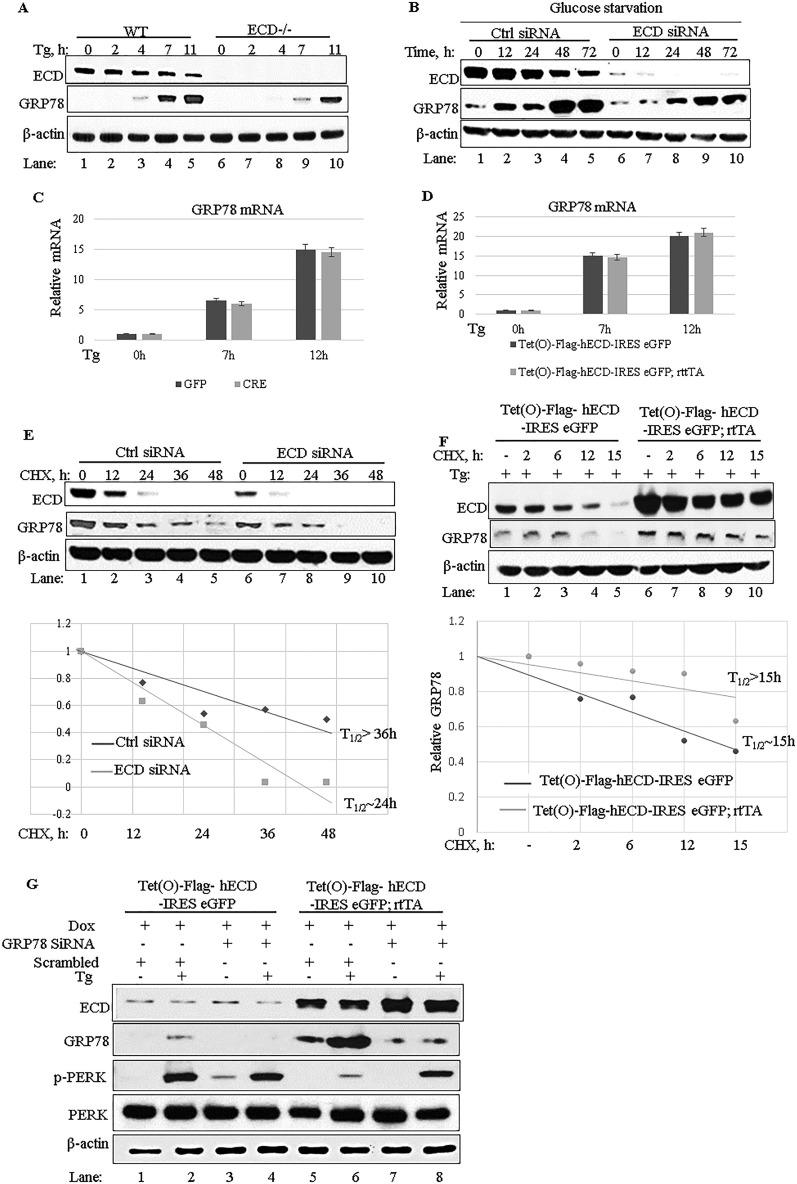 https://cdn.ncbi.nlm.nih.gov/pmc/blobs/3c7d/5574048/ec8518867b41/zmb9991015890004.jpg