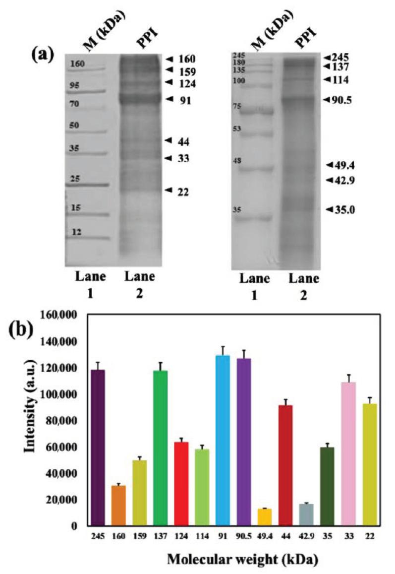 https://cdn.ncbi.nlm.nih.gov/pmc/blobs/3c7e/7767527/e88370b9d329/molecules-25-06056-g003.jpg