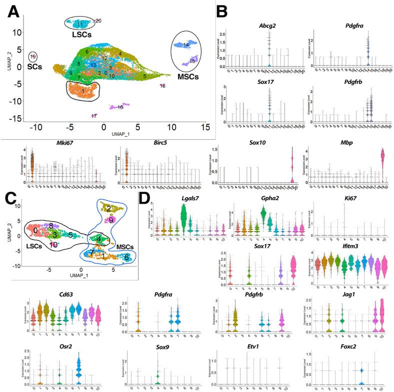 https://cdn.ncbi.nlm.nih.gov/pmc/blobs/3c80/10103722/a6ad47b11d64/iovs-64-4-7-f004.jpg