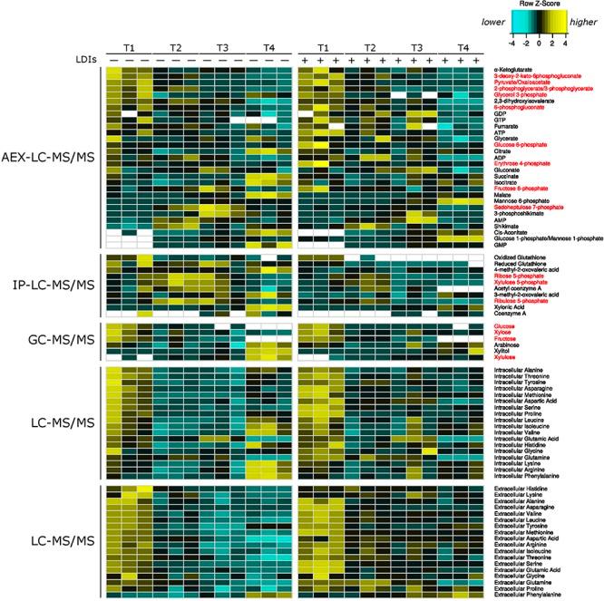 https://cdn.ncbi.nlm.nih.gov/pmc/blobs/3c80/6853872/e92ee450d4a7/fmicb-10-02596-g002.jpg
