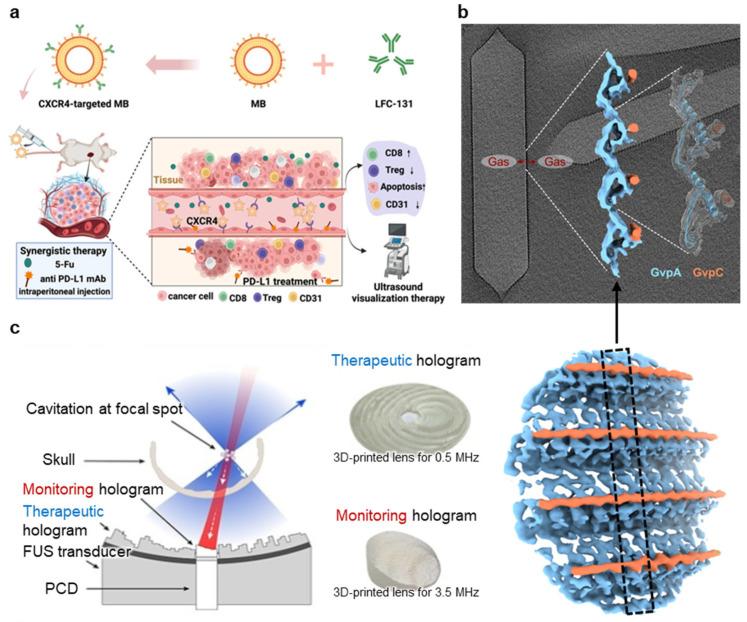 https://cdn.ncbi.nlm.nih.gov/pmc/blobs/3c81/12196113/d06a55a1e73b/nanomaterials-15-00884-g007.jpg