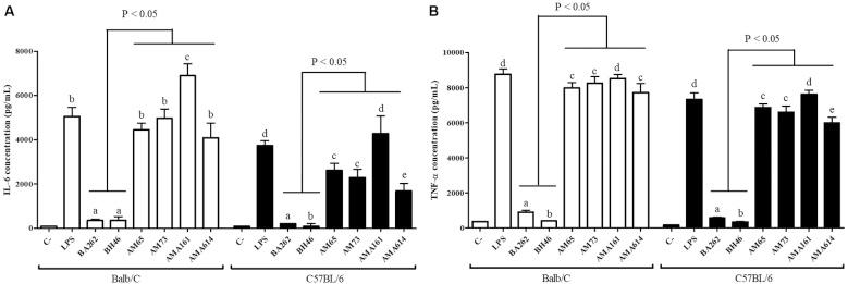 https://cdn.ncbi.nlm.nih.gov/pmc/blobs/3c82/7521155/de81a603f931/1678-8060-mioc-115-e200140-gf3.jpg
