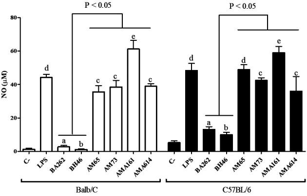 https://cdn.ncbi.nlm.nih.gov/pmc/blobs/3c82/7521155/de91d7cd8135/1678-8060-mioc-115-e200140-gf2.jpg