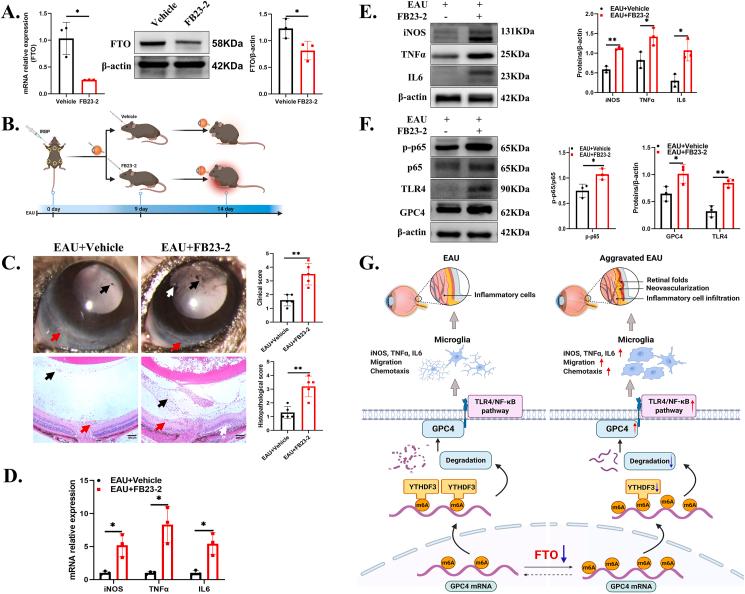 https://cdn.ncbi.nlm.nih.gov/pmc/blobs/3c85/10363593/30806658188b/gr7.jpg