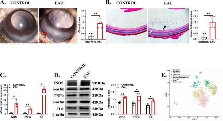 https://cdn.ncbi.nlm.nih.gov/pmc/blobs/3c85/10363593/89a8fe7c0fc6/figs1.jpg