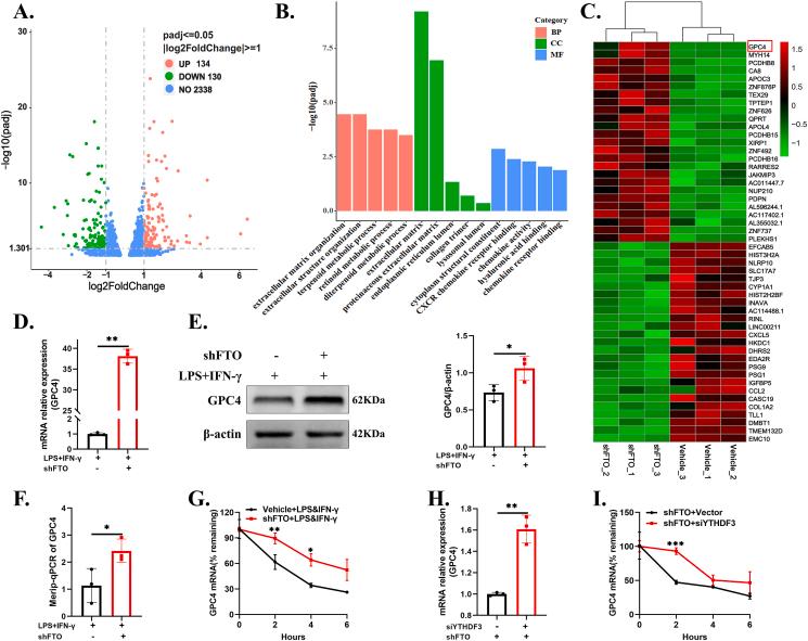https://cdn.ncbi.nlm.nih.gov/pmc/blobs/3c85/10363593/977c39f9c4c2/gr4.jpg
