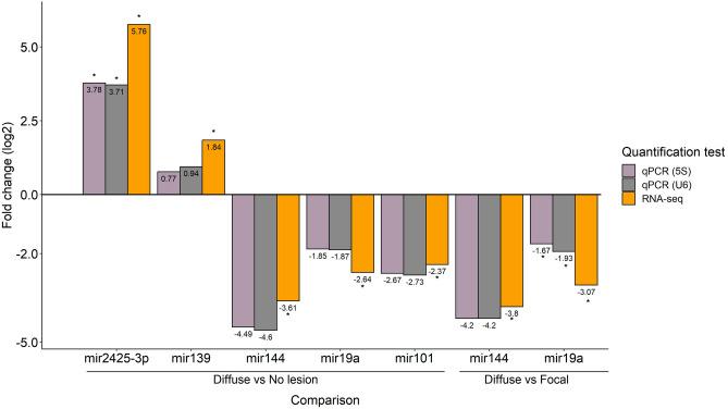 https://cdn.ncbi.nlm.nih.gov/pmc/blobs/3c85/10762146/abb855851c25/41598_2023_50251_Fig3_HTML.jpg