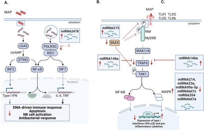 https://cdn.ncbi.nlm.nih.gov/pmc/blobs/3c85/10762146/ec3fa093972a/41598_2023_50251_Fig6_HTML.jpg