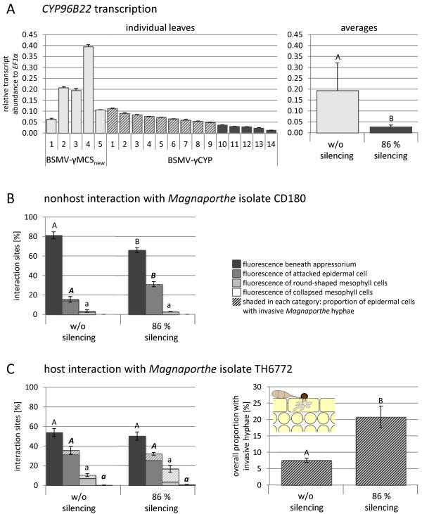 https://cdn.ncbi.nlm.nih.gov/pmc/blobs/3c85/3897914/87370265a937/1471-2229-14-26-4.jpg