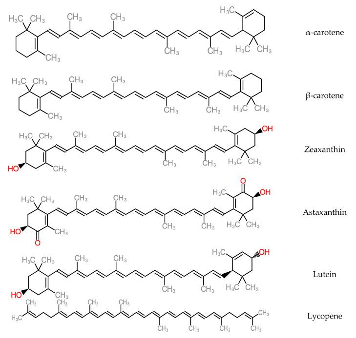 https://cdn.ncbi.nlm.nih.gov/pmc/blobs/3c85/7663138/c8a53695b1ad/molecules-25-05036-g014a.jpg