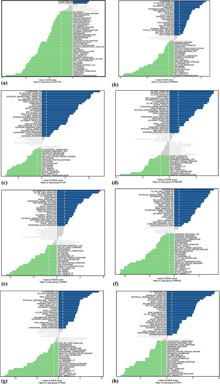 https://cdn.ncbi.nlm.nih.gov/pmc/blobs/3c86/12021760/1cf8a112527a/12672_2025_2360_Fig7_HTML.jpg
