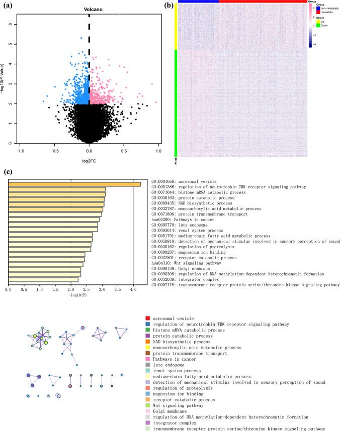 https://cdn.ncbi.nlm.nih.gov/pmc/blobs/3c86/12021760/f2f7d4e1408f/12672_2025_2360_Fig2_HTML.jpg
