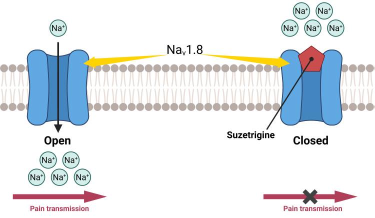 https://cdn.ncbi.nlm.nih.gov/pmc/blobs/3c87/12372998/f7c9e85bc6da/cureus-0017-00000090755-i02.jpg