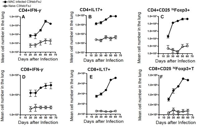 https://cdn.ncbi.nlm.nih.gov/pmc/blobs/3c88/6456659/39b58d4a7e3f/fmicb-10-00693-g004.jpg