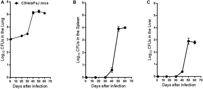 https://cdn.ncbi.nlm.nih.gov/pmc/blobs/3c88/6456659/9bf704eab1c5/fmicb-10-00693-g001.jpg