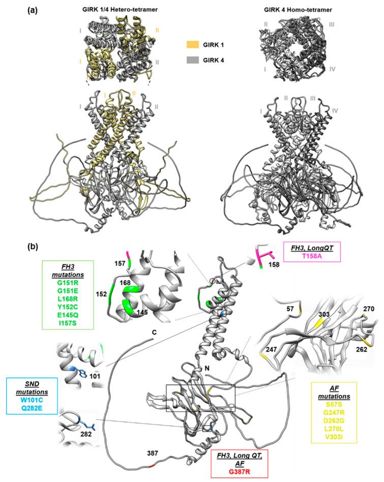 https://cdn.ncbi.nlm.nih.gov/pmc/blobs/3c8a/10341679/5c38394366f2/ijms-24-10849-g001.jpg