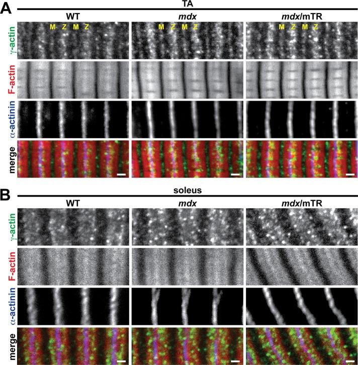 https://cdn.ncbi.nlm.nih.gov/pmc/blobs/3c8b/3952854/208ce1dcc287/852fig8.jpg