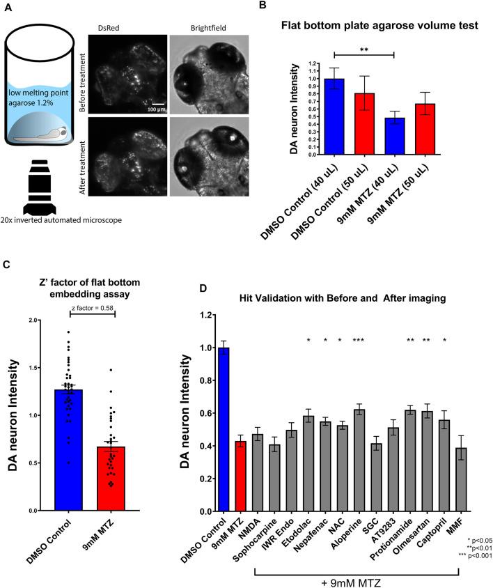 https://cdn.ncbi.nlm.nih.gov/pmc/blobs/3c8c/8971663/64a341ad4c68/fphar-13-837756-g003.jpg
