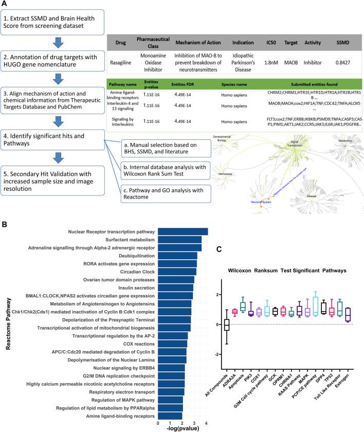 https://cdn.ncbi.nlm.nih.gov/pmc/blobs/3c8c/8971663/7d3d7cb78f6e/fphar-13-837756-g002.jpg