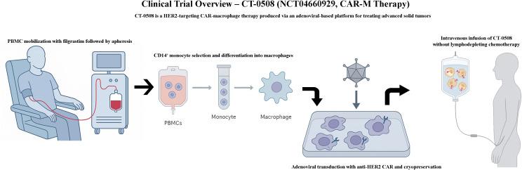 https://cdn.ncbi.nlm.nih.gov/pmc/blobs/3c8e/12198237/7c0259cd5d07/fimmu-16-1615760-g004.jpg