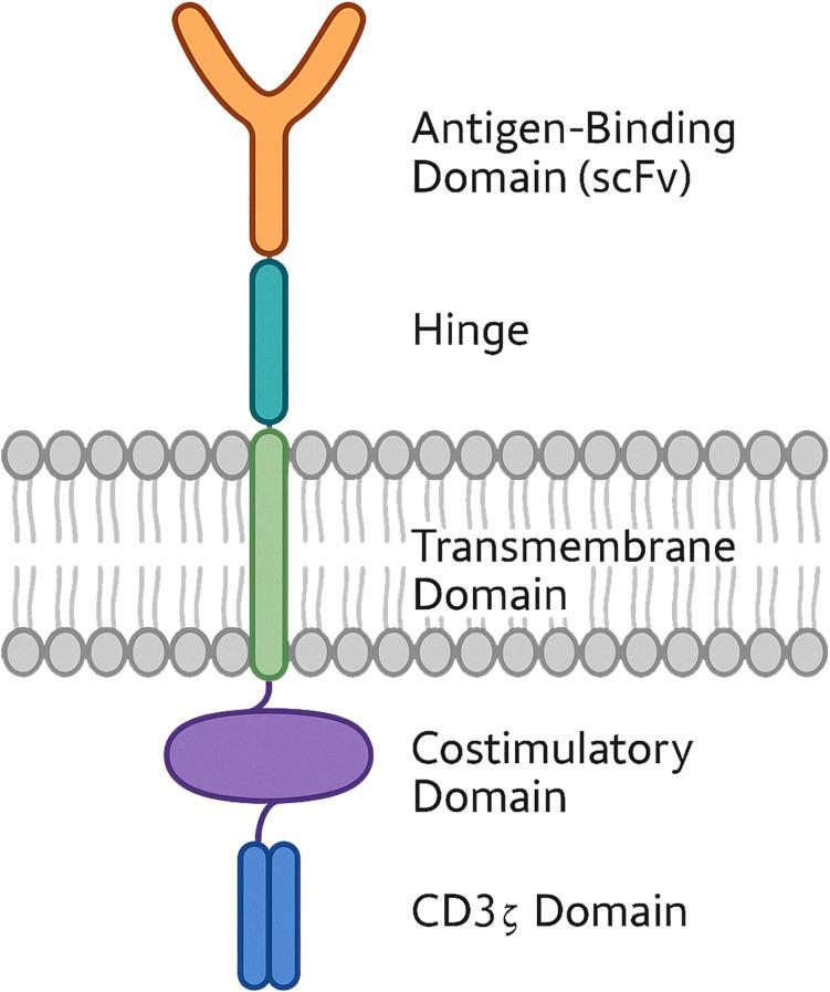 https://cdn.ncbi.nlm.nih.gov/pmc/blobs/3c8e/12198237/cf2b711d9f08/fimmu-16-1615760-g001.jpg