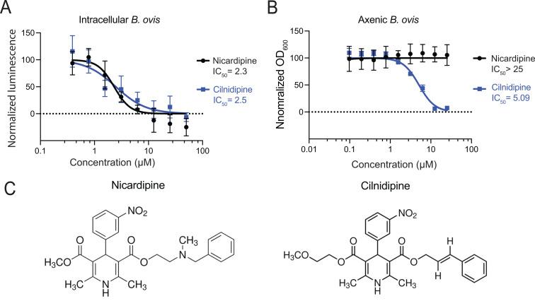 https://cdn.ncbi.nlm.nih.gov/pmc/blobs/3c8e/12306736/4b499c4b14b3/pgen.1011795.g001.jpg