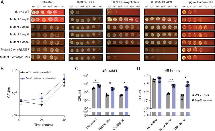 https://cdn.ncbi.nlm.nih.gov/pmc/blobs/3c8e/12306736/5b3f3899797c/pgen.1011795.g004.jpg