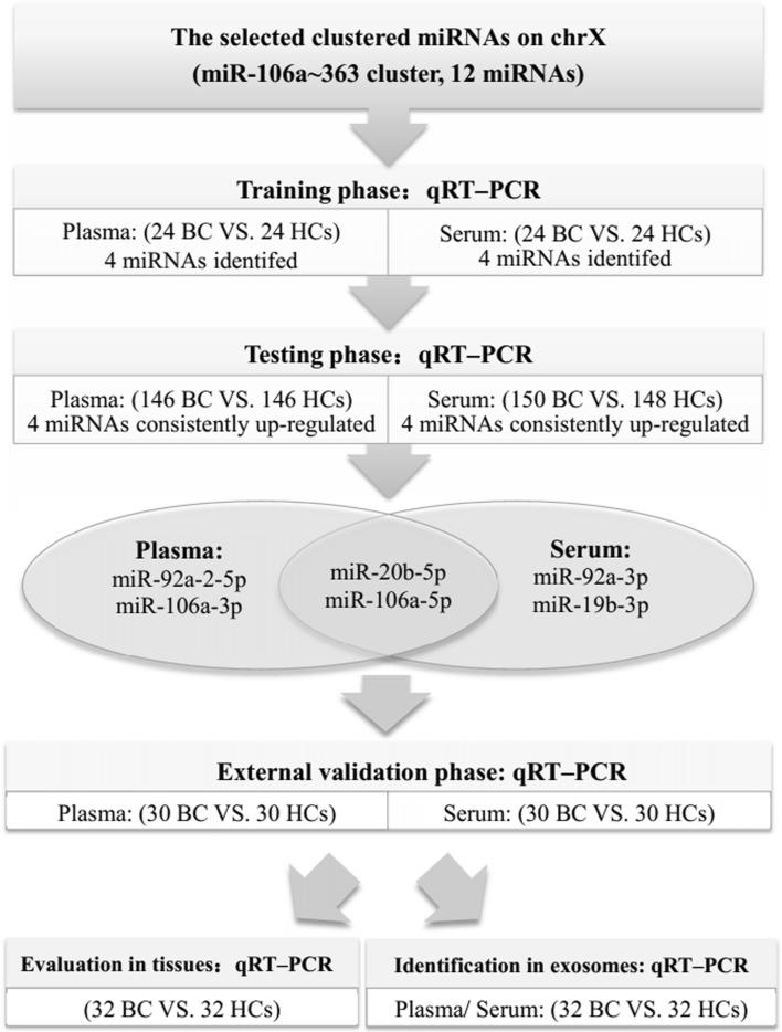 https://cdn.ncbi.nlm.nih.gov/pmc/blobs/3c8f/5999170/a44edb5ceb87/10549_2018_4757_Fig1_HTML.jpg