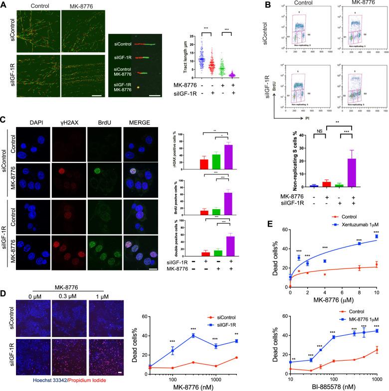 https://cdn.ncbi.nlm.nih.gov/pmc/blobs/3c90/8782724/54b5d844da28/41388_2021_2080_Fig3_HTML.jpg