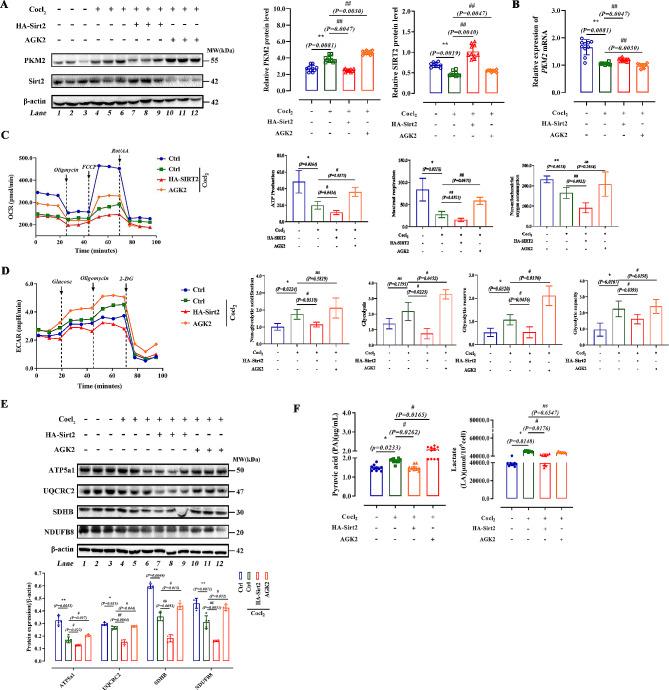 https://cdn.ncbi.nlm.nih.gov/pmc/blobs/3c91/11247741/43533a3aefff/12967_2024_5435_Fig9_HTML.jpg