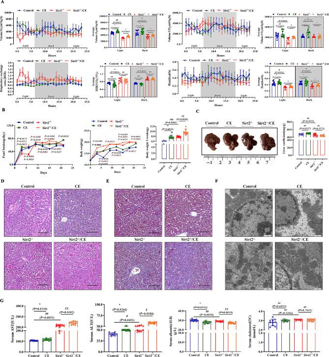 https://cdn.ncbi.nlm.nih.gov/pmc/blobs/3c91/11247741/da952d614951/12967_2024_5435_Fig2_HTML.jpg