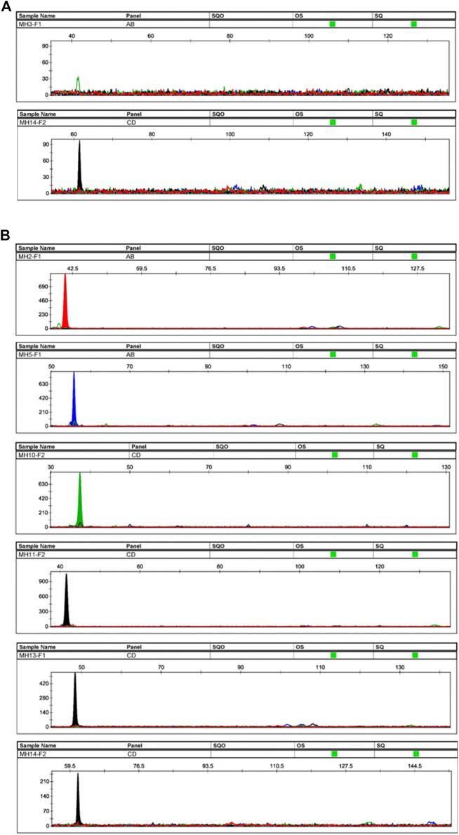 https://cdn.ncbi.nlm.nih.gov/pmc/blobs/3c93/8866868/c0bb78838c9e/fgene-12-800598-g006.jpg