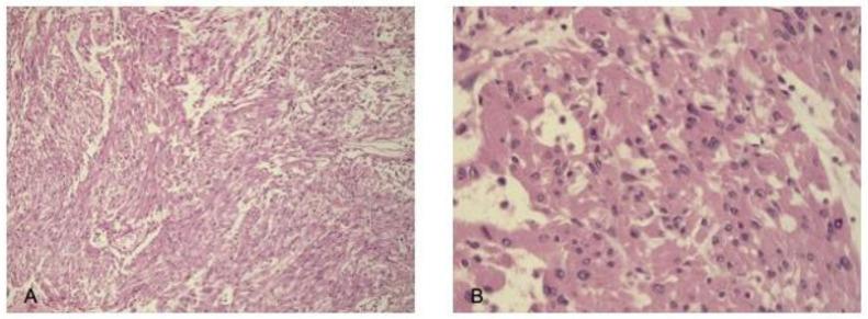 https://cdn.ncbi.nlm.nih.gov/pmc/blobs/3c96/12072044/dd4df713844f/cancers-17-01564-g008.jpg