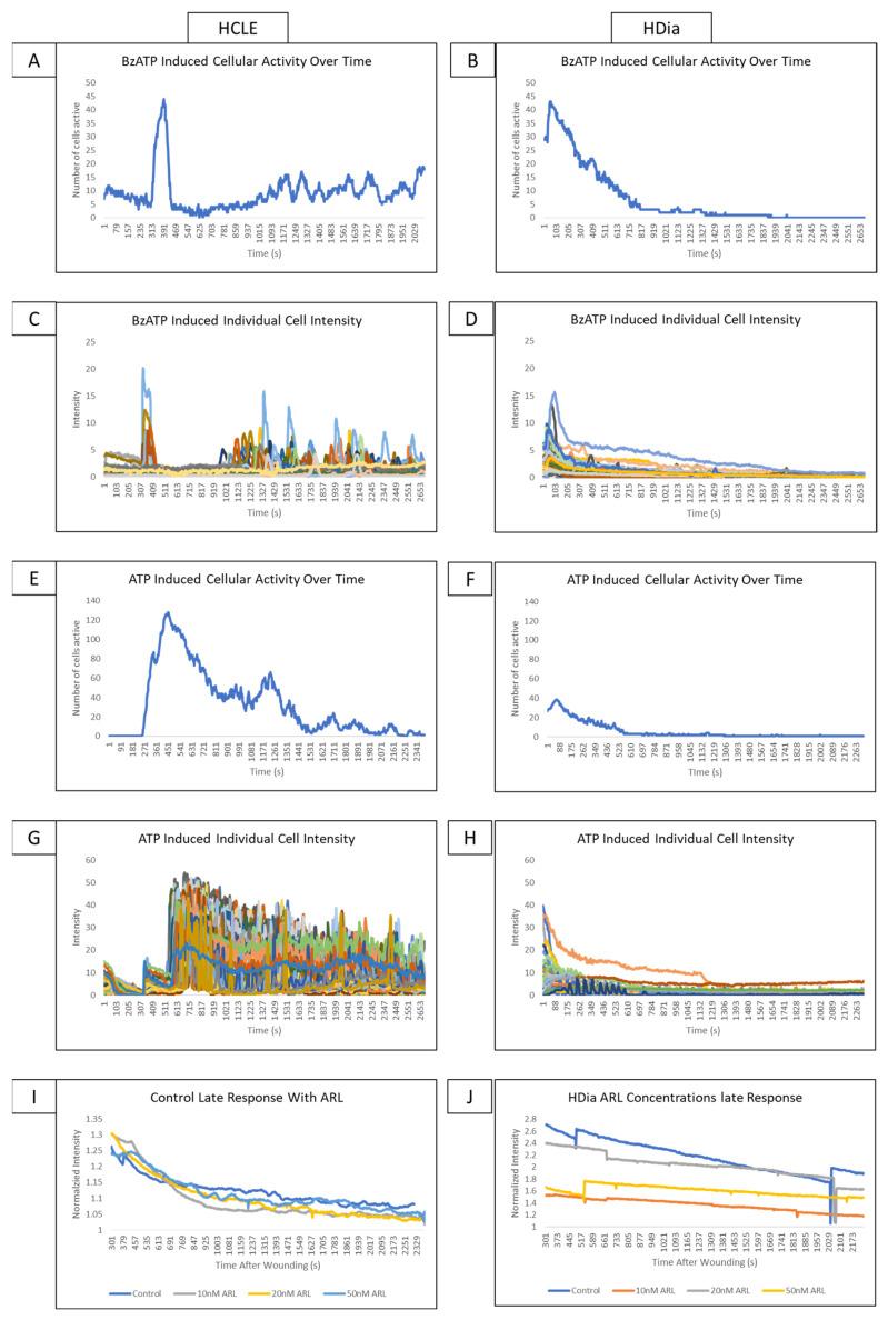 https://cdn.ncbi.nlm.nih.gov/pmc/blobs/3c97/10778404/234393b825f9/cells-13-00026-g004.jpg