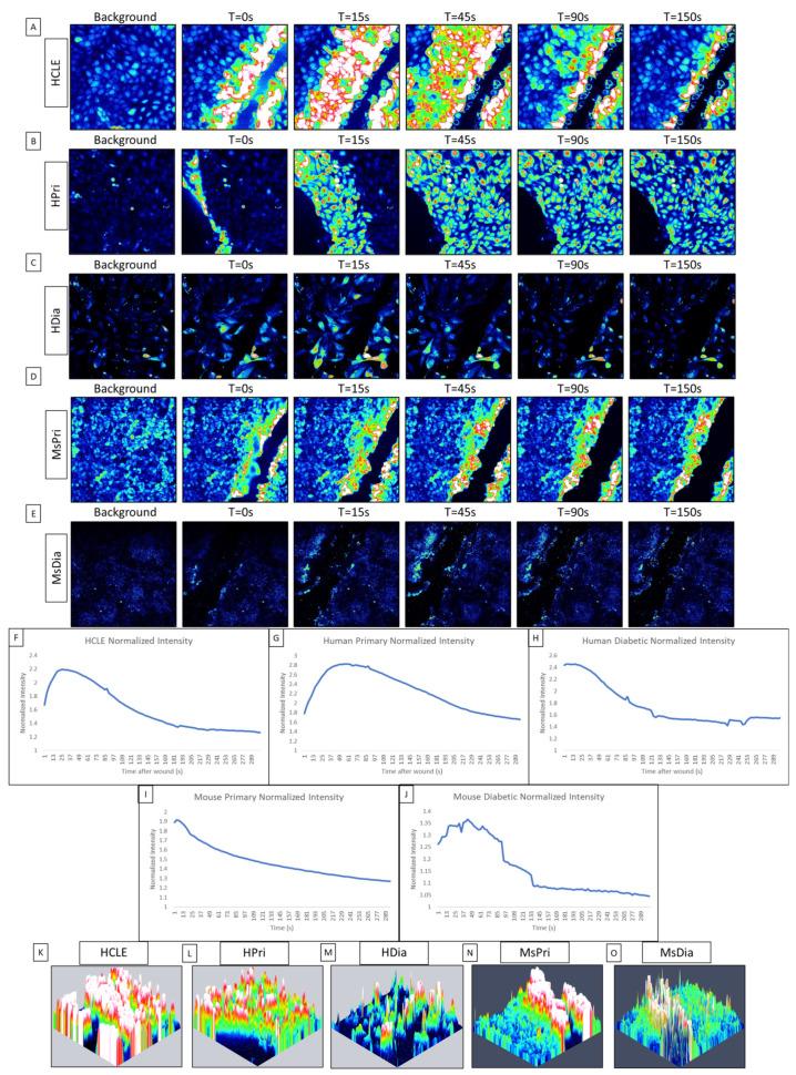 https://cdn.ncbi.nlm.nih.gov/pmc/blobs/3c97/10778404/9415b10a0174/cells-13-00026-g001.jpg