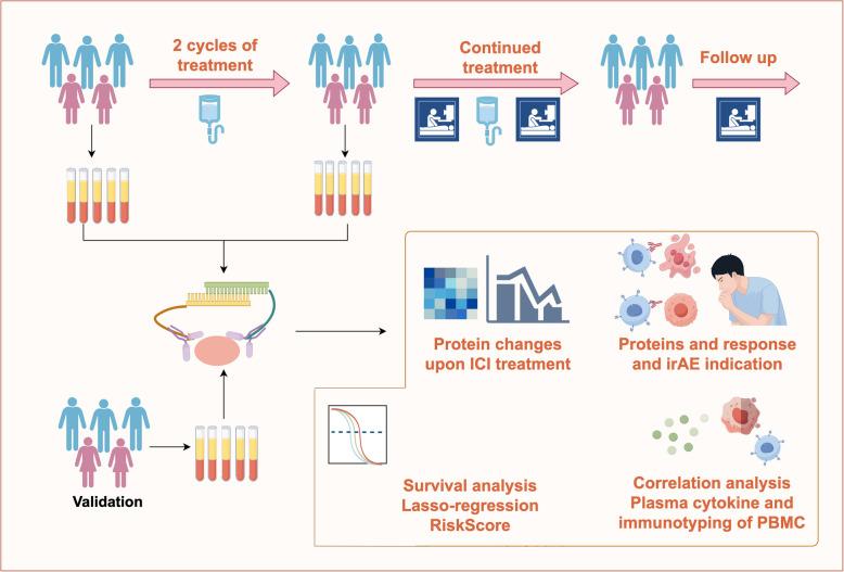 https://cdn.ncbi.nlm.nih.gov/pmc/blobs/3c97/12260144/98f5154bb6e3/43556_2025_291_Fig1_HTML.jpg