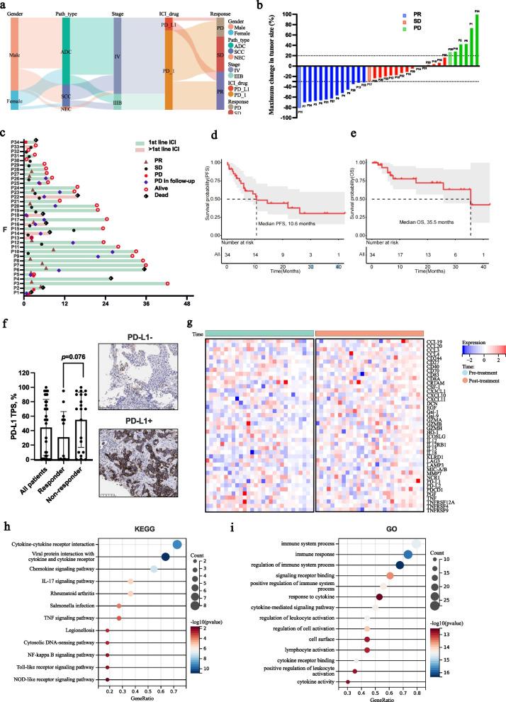 https://cdn.ncbi.nlm.nih.gov/pmc/blobs/3c97/12260144/a918effd1ce7/43556_2025_291_Fig2_HTML.jpg