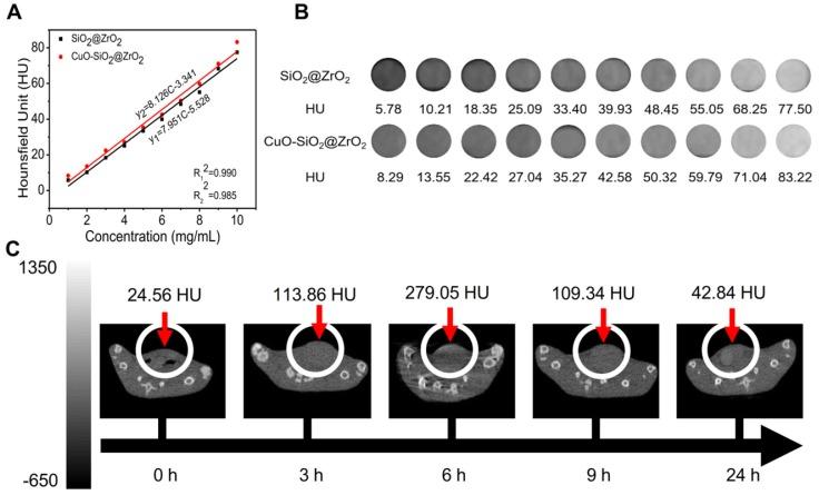 https://cdn.ncbi.nlm.nih.gov/pmc/blobs/3c98/7150478/e6a81ce2a3fb/thnov10p4659g007.jpg