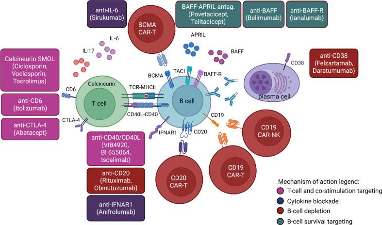 https://cdn.ncbi.nlm.nih.gov/pmc/blobs/3c9f/12400754/3428b338e4c4/12882_2025_4434_Fig2_HTML.jpg