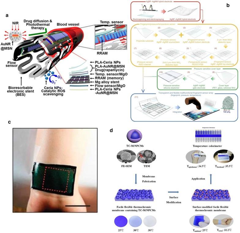 https://cdn.ncbi.nlm.nih.gov/pmc/blobs/3ca1/7561651/286bc704d0b8/11671_2020_3428_Fig12_HTML.jpg