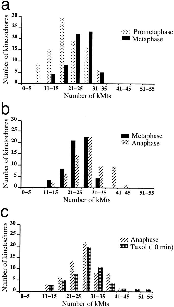 https://cdn.ncbi.nlm.nih.gov/pmc/blobs/3ca2/2137823/5c651d8ded86/JCB.32761f5.jpg