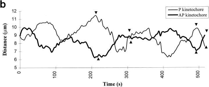 https://cdn.ncbi.nlm.nih.gov/pmc/blobs/3ca2/2137823/aac75ad4751a/JCB.32761f4b.jpg