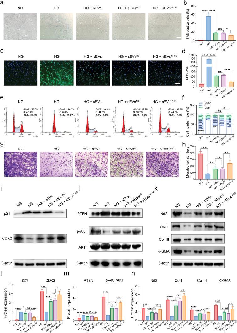 https://cdn.ncbi.nlm.nih.gov/pmc/blobs/3ca3/10987139/3328939a77b4/ADVS-11-2307761-g005.jpg