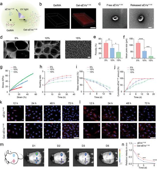 https://cdn.ncbi.nlm.nih.gov/pmc/blobs/3ca3/10987139/64e86beb0e1d/ADVS-11-2307761-g002.jpg